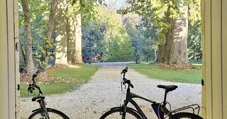 Le Domaine des Platanes