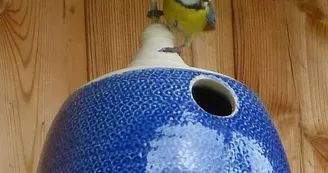Poterie de la passiflore