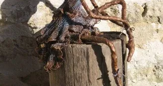 Atelier Mamamio - sculpture en tissu durci