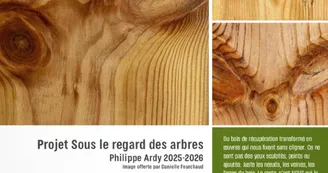 Philippe Ardy - sculpteur