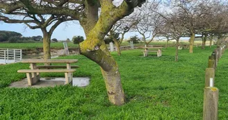 Aire de pique nique Chenal de la Perrotine