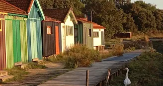 Site ostréicole et naturel de Fort-Royer