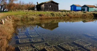 Site ostréicole et naturel de Fort-Royer