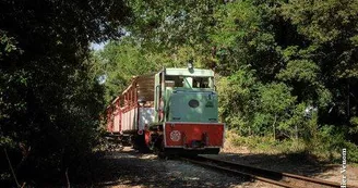 Le P'tit Train de Saint-Trojan Le P'tit Train de Saint-Trojan