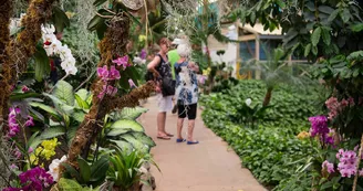 Les Antilles de Jonzac