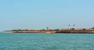 Compagnie Interîles - Au départ de l'île d'Oléron (St-Denis-d'Oléron) Juillet-Août