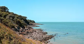 Compagnie Interîles - Au départ de l'île d'Oléron (St-Denis-d'Oléron) Juillet-Août