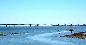 Compagnie Interîles - Au départ de l'île d'Oléron (St-Denis-d'Oléron) Juillet-Août