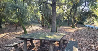 Aire de pique-nique - forêt domaniale