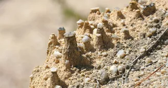 Kaolune, La Carrière Saint-Georges