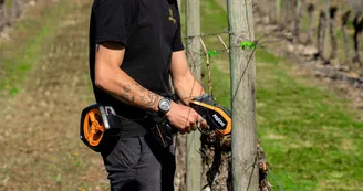 Domaine Moreau & Fils