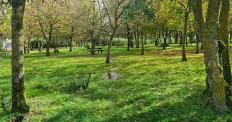 Aire de pique nique Les Prés Valet