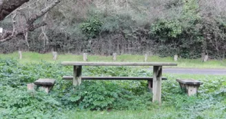 Aire de pique nique plage des Bonnes