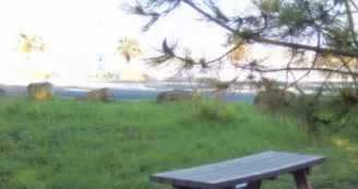 Aire de pique nique Port du Douhet