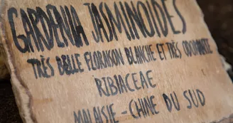 Serre tropicale des Antilles de Jonzac