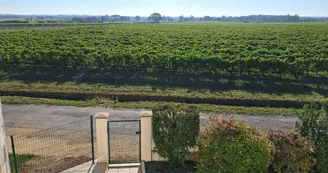 Gîtes de la Tacharderie - Côté vignes