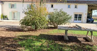 Gîtes de la Tacharderie - Côté vignes