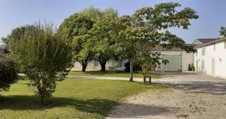 Gîtes de la Tacharderie - Côté vignes