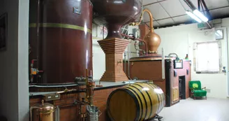 Gîtes de la Tacharderie - Côté vignes