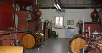 Gîtes de la Tacharderie - Côté vignes