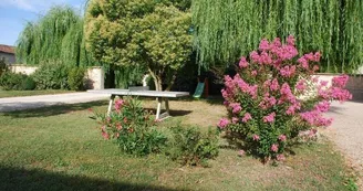Gîtes de la Tacharderie - Côté vignes