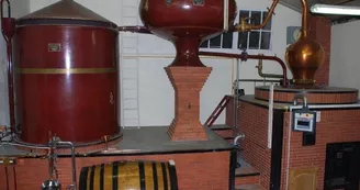 Gîtes de la Tacharderie - Côté vignes