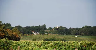 Gîtes de la Tacharderie - L'alambic