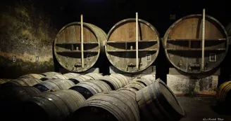 Normandin Mercier, boutique au domaine - Cognacs et pineau