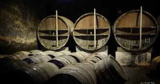 Normandin Mercier, boutique au domaine - Cognacs et pineau