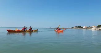 Sorties en Kayak - Kayak Découverte 17