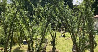La Belle Etoile, une maison fertile