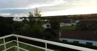 Arcourt Sylvie - Belle des Champs