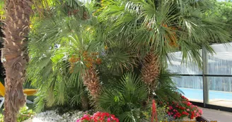 Chambre d'hôtes 14 personnes - Chantal et Thomas Koenitzer