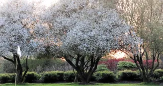 Golf La Rochelle Sud