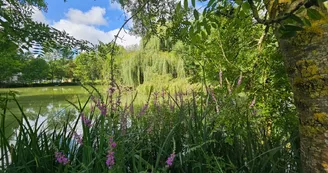 Domaine de Fontsauzine
