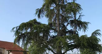 Roudier Sylvie - Gîte du Château