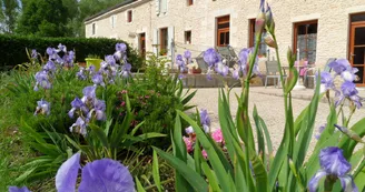 Aire naturelle Au Jardin près de l'Océan