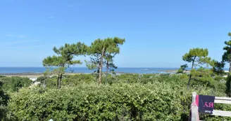 Camping APV l'Anse des Pins
