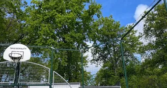 Camping Chant des Oiseaux