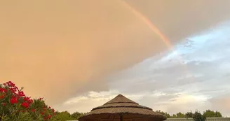 Camping Chant des Oiseaux