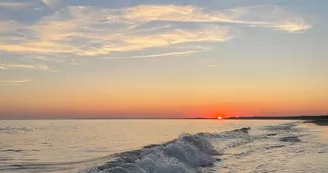 Camping Chant des Oiseaux