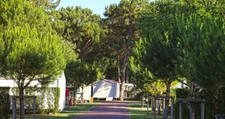 Camping Sandaya - Les Mathes