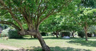 Camping du Fort de la Rade