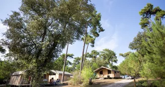 Camping Huttopia - Oléron Les Chênes Verts