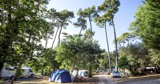 Camping Huttopia - Oléron Les Chênes Verts