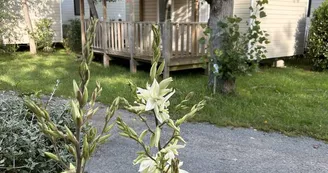 Camping Le Fief Melin