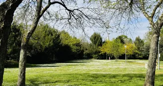 Camping  Le Soleil