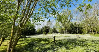 Camping  Le Soleil