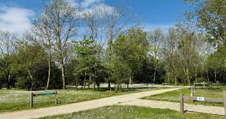 Camping  Le Soleil