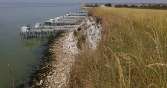 Pelouses calcicoles et côteaux de Gironde
